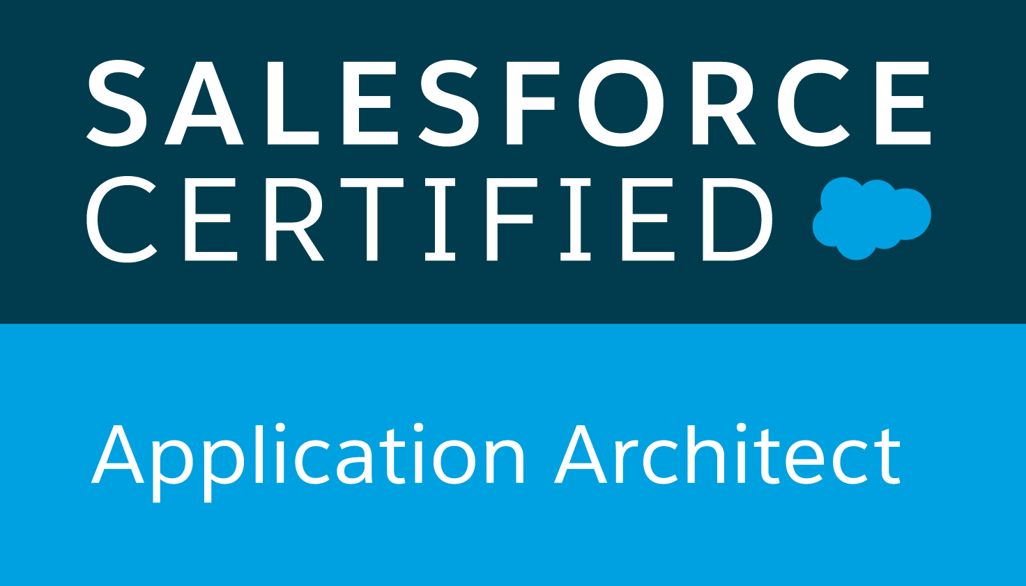 Application Architect