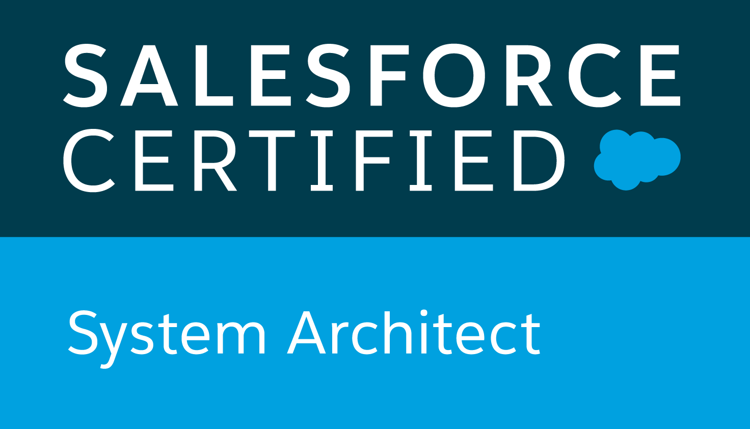 System Architect