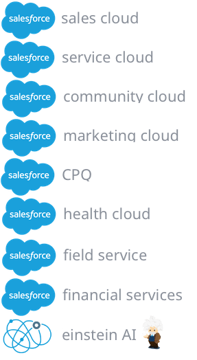 Expertise in every Salesforce Cloud